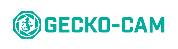 Gecko-Cam Cine Lens Rentals