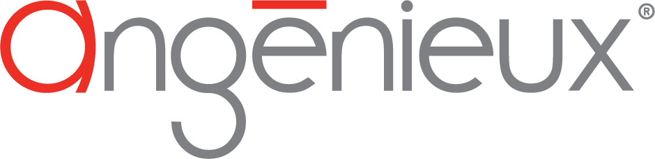 Angenieux Cine Lens Rentals