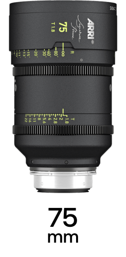 ARRI Signature Primes strip