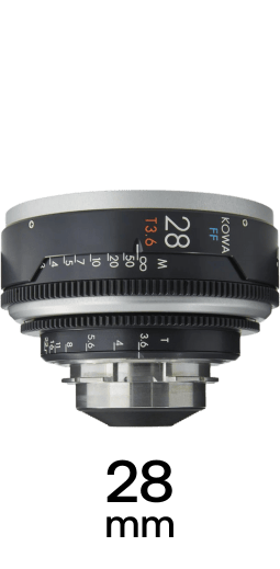 Kowa Vintage R strip 2