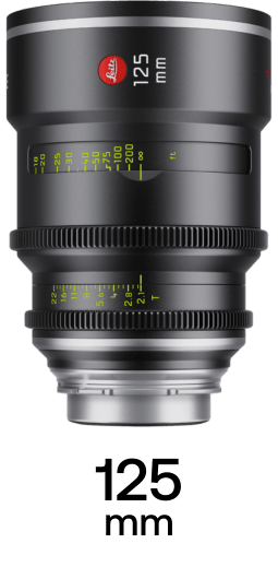 Leitz Elsie strip 12