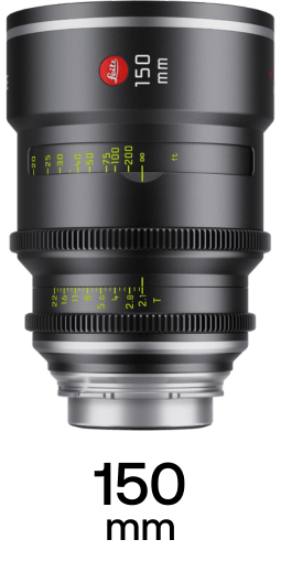 Leitz Elsie strip 13