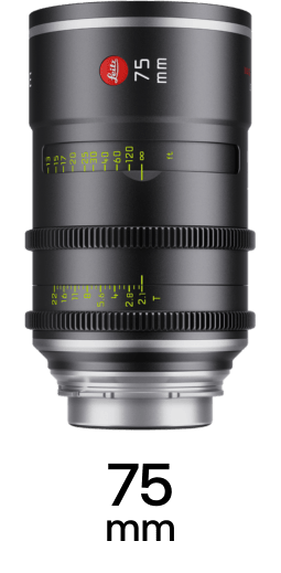 Leitz Elsie strip 10