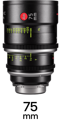 Leitz Summilux-C Lenses strip