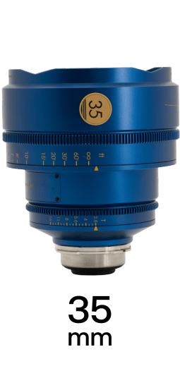 Second Reef Coral strip 1