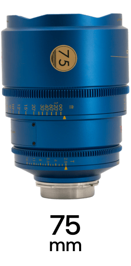 Second Reef Coral strip 3