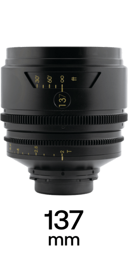 TRIBE7 BLACKWING7 strip