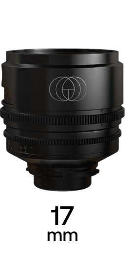 TRIBE7 BLACKWING7 strip