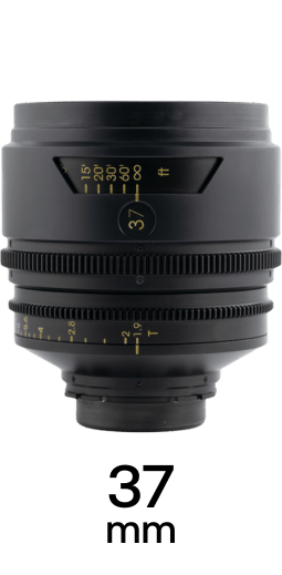 TRIBE7 BLACKWING7 strip