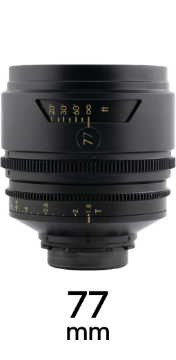 TRIBE7 BLACKWING7 strip